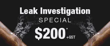 Leak Investigation Discount Saint Marys Bay